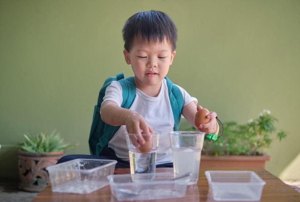 floating egg salt water density experiment