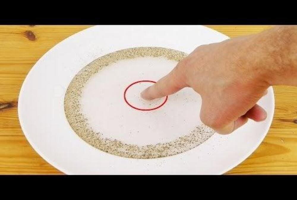 pepper and soap surface tension experiment for kids