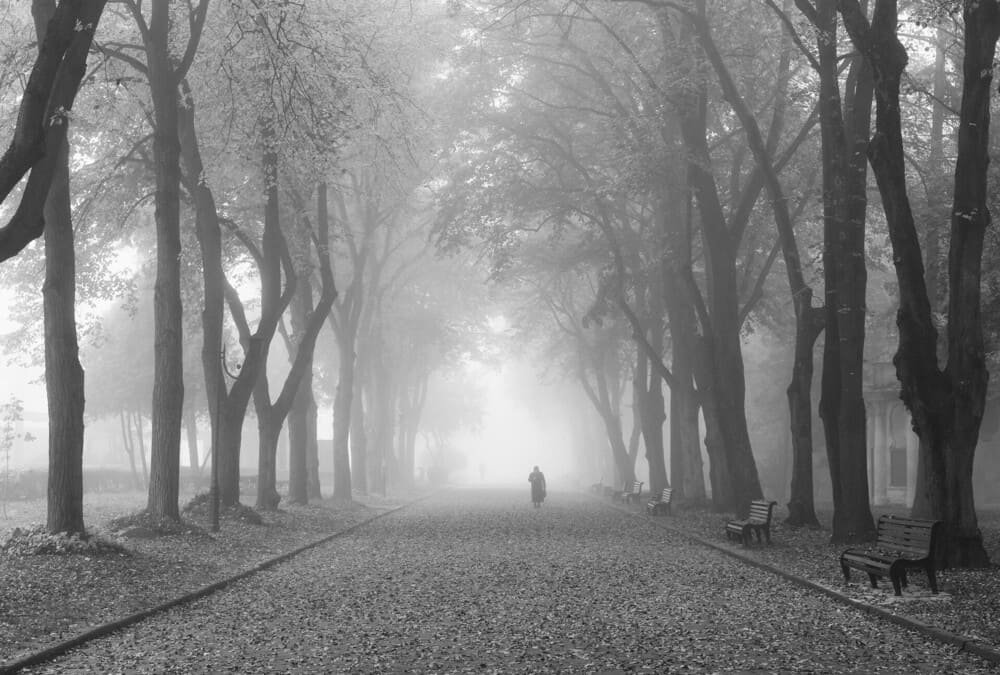image shows a path in the fog, same to what a person experienced when dreaming.